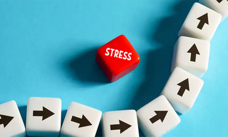 Stratégies de coping : comprendre et gérer le stress